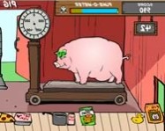 Feed the pig vicces mobil